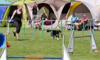 IMG_moosen-10-06-2017-K3Large024