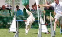 IMG_moosen-10-06-2017-K3Large028