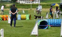 IMG_moosen-10-06-2017-K3Large035