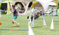 IMG_moosen-10-06-2017-K3Large037