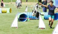 IMG_moosen-10-06-2017-K3Large038