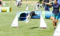 IMG_moosen-10-06-2017-K3Large039