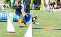 IMG_moosen-10-06-2017-K3Large040