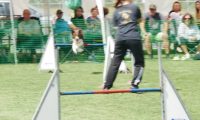 IMG_moosen-10-06-2017-K3Large042