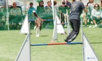 IMG_moosen-10-06-2017-K3Large043