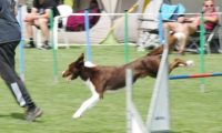 IMG_moosen-10-06-2017-K3Large044