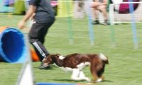IMG_moosen-10-06-2017-K3Large045