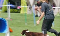 IMG_moosen-10-06-2017-K3Large048
