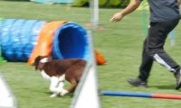 IMG_moosen-10-06-2017-K3Large049