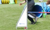 IMG_moosen-10-06-2017-K3Large050