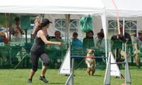 IMG_moosen-10-06-2017-K3Large052