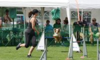 IMG_moosen-10-06-2017-K3Large053