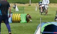 IMG_moosen-10-06-2017-K3Large055