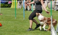 IMG_moosen-10-06-2017-K3Large057