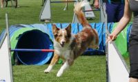 IMG_moosen-10-06-2017-K3Large058
