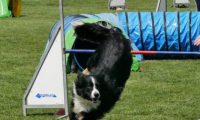 IMG_moosen-10-06-2017-K3Large067