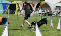 IMG_moosen-10-06-2017-K3Large069