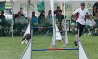 IMG_moosen-10-06-2017-K3Large074