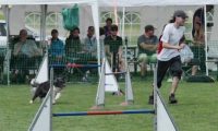 IMG_moosen-10-06-2017-K3Large075