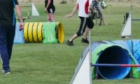 IMG_moosen-10-06-2017-K3Large076