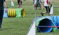 IMG_moosen-10-06-2017-K3Large077
