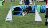 IMG_moosen-10-06-2017-K3Large078