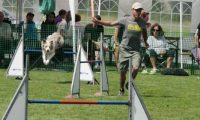 IMG_moosen-10-06-2017-K3Large081