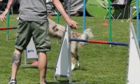 IMG_moosen-10-06-2017-K3Large086