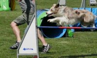 IMG_moosen-10-06-2017-K3Large088