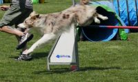 IMG_moosen-10-06-2017-K3Large089