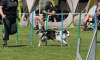 IMG_moosen-10-06-2017-K3Large094