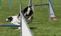 IMG_moosen-10-06-2017-K3Large097