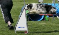 IMG_moosen-10-06-2017-K3Large098
