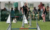IMG_moosen-10-06-2017-K3Large101