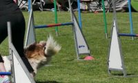 IMG_moosen-10-06-2017-K3Large106