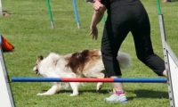IMG_moosen-10-06-2017-K3Large107
