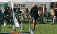 IMG_moosen-10-06-2017-K3Large110