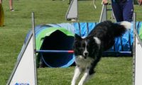 IMG_moosen-10-06-2017-K3Large112