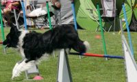 IMG_moosen-10-06-2017-K3Large113