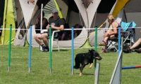 IMG_moosen-10-06-2017-K3Large119