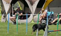 IMG_moosen-10-06-2017-K3Large120