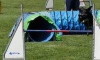 IMG_moosen-10-06-2017-K3Large121