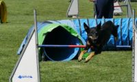 IMG_moosen-10-06-2017-K3Large122