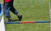 IMG_moosen-10-06-2017-K3Large125