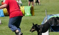 IMG_moosen-10-06-2017-K3Large127