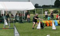 IMG_moosen-10-06-2017-K3Large130