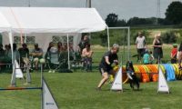 IMG_moosen-10-06-2017-K3Large131