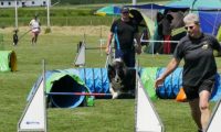 IMG_moosen-10-06-2017-K3Large134