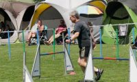 IMG_moosen-10-06-2017-K3Large136