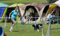 IMG_moosen-10-06-2017-K3Large140